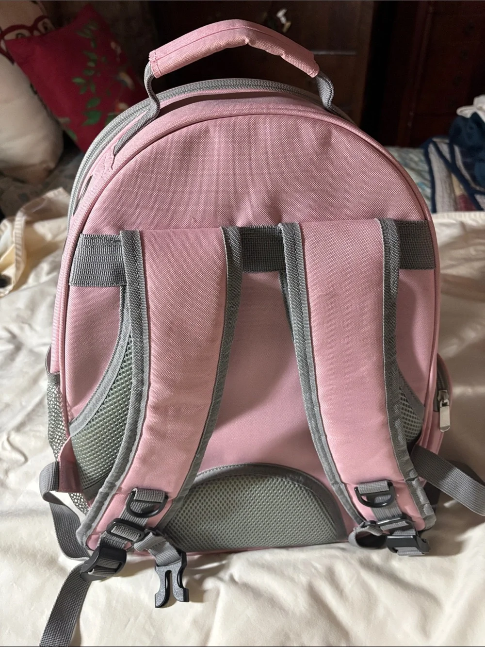 Pink Transparent Bubble Backpack Pet Carrier